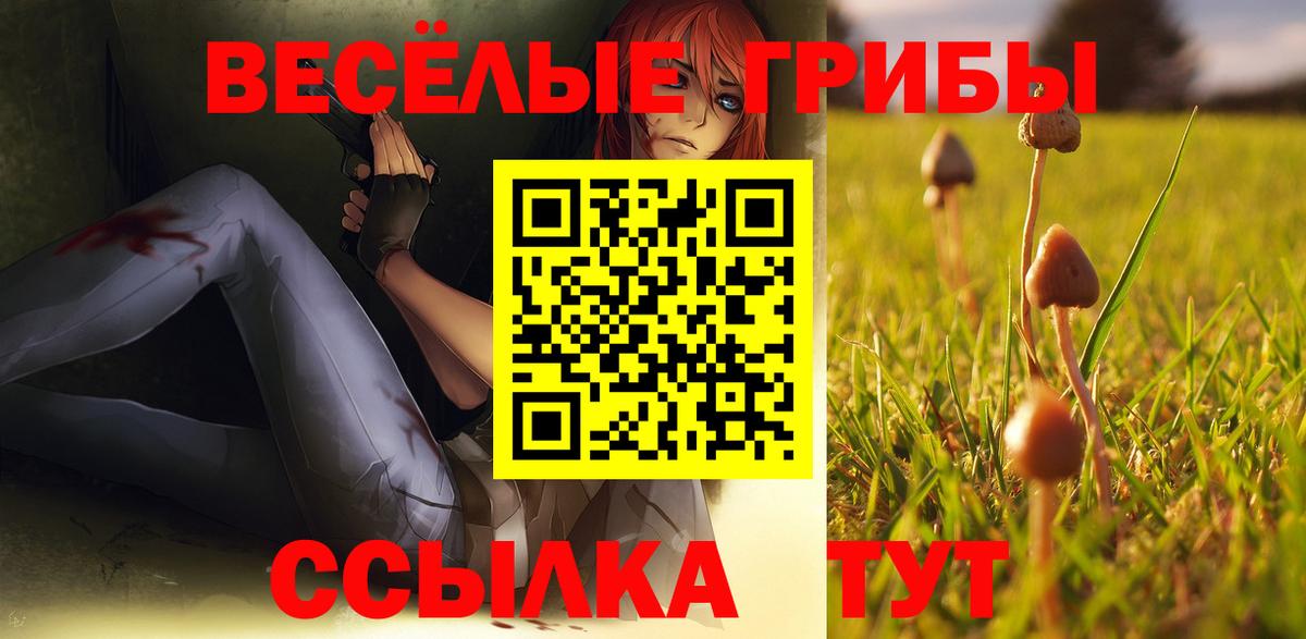 Псилоцибиновые грибы мухоморы  закладка  Камень-на-Оби  Вход с VPN 
